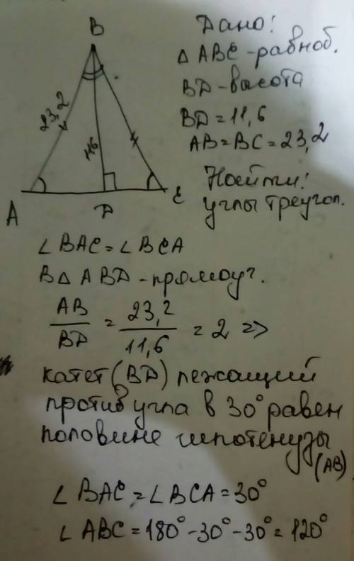 Вравнобедренном треугольнике abc проведена высота bd к основанию ac. длина высоты — 11,6 см, длина б