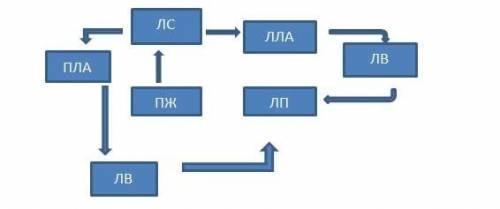 Написать движение крови по большому кругу кровообращения. всего восемь пунктов. например- 1 левый же