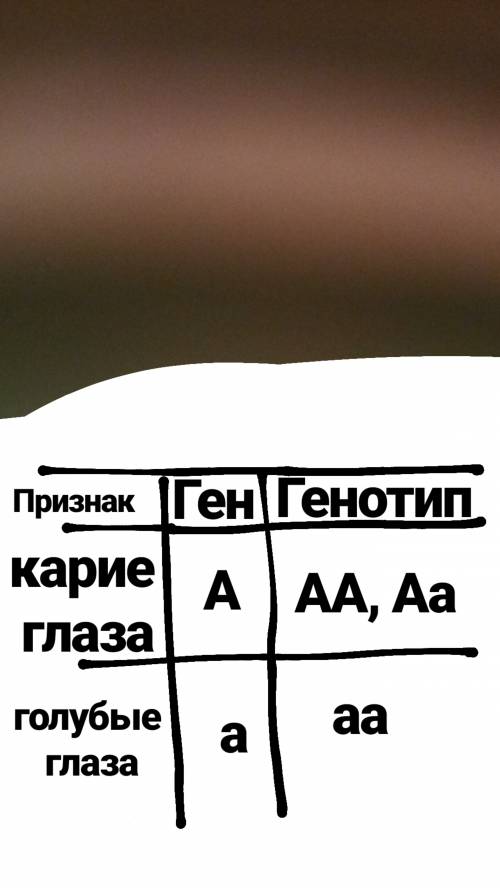 Учеловека карий цвет глаз доминирует над голубым муж и жена кареглазые а первый ребенок в семье голу