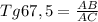 Tg67,5= \frac{AB}{AC}