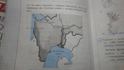 На карте стрелками с цифрами обозначены природные зоны. запиши буквы, соответствующие указанным зона