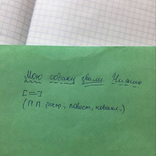 Мы собаку назвали чижик - сделать синтаксическии разбор слова полностью 5 класс