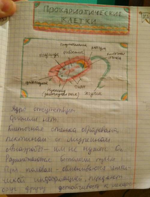 1. особенности строения вирусов, бактерий, клеточных форм жизни. 2.изучить сходства и различия в жиз