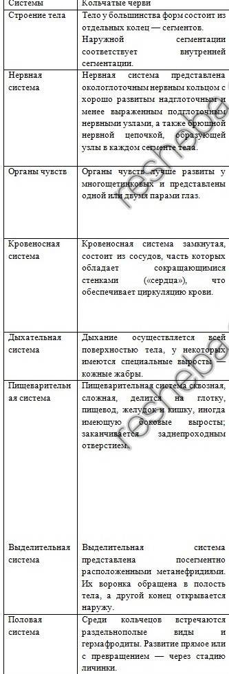 Характеристика кольчатых червей и костных рыб таблица