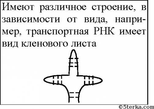 1(3 ). полинуклеотиды – это: а. карбоновые кислоты. б. ферменты. в. нуклеиновые кислоты. г. витамины