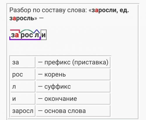 Язык найти грамматическую основу в слове заросли ( 19 )