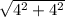 \sqrt{ 4^{2} +4^{2} }