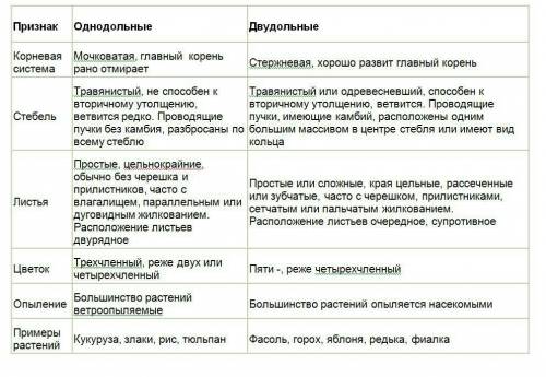 По каким признакам можно отличить однодольные растения от двудольных?