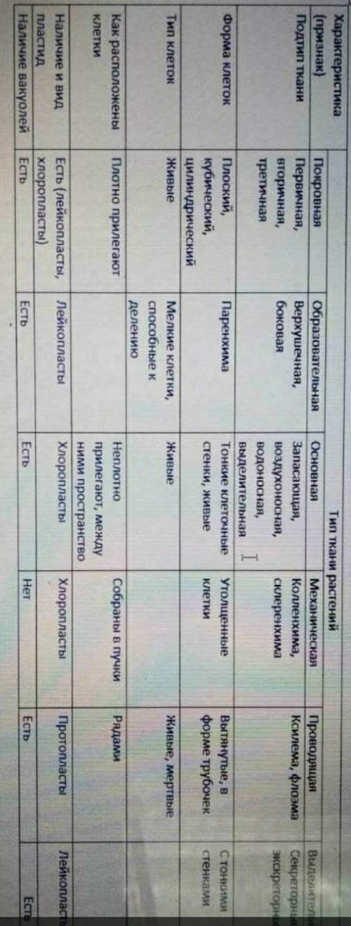 Заполните таблицу дайте характеристику особенностей каждого типа тканей​