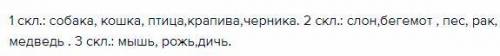 Запиши по пять существительных 1 2 и 3 склонения на тему животные или растения