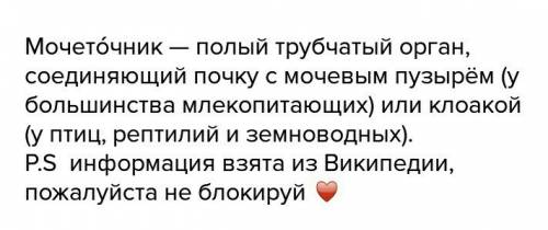 Дайте определение терминам моча, мочеточники, мочевой пузырь из биологии 7 класса. , . я посмо