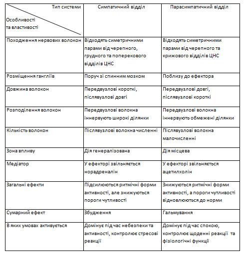Порівняйте відділи вегетативної нервової системи