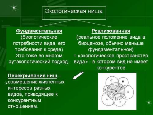 Напишите несколько любых экологических ниш любых животных