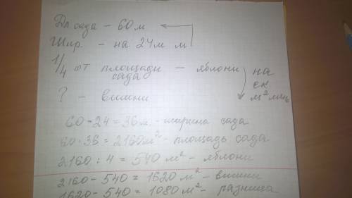 Реши с условием и решением длина сада 60 м а ширина на 24 м меньше а 4 часть сада занимают яблони а