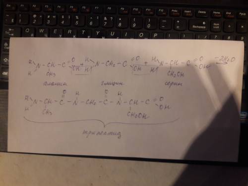 Написать получения 3 пептида: аланин + глицин + серин.