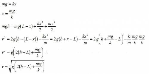 Лёгкая пружина длиной l с коэффициентом жёсткости k стоит вертикально на столе. с высоты h на неё па