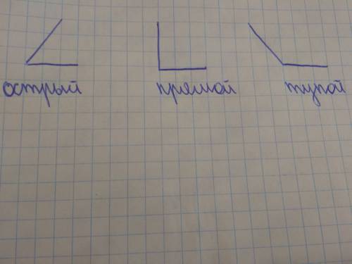 Как можно определить вид угла ( острый , прямой , тупой ) ?