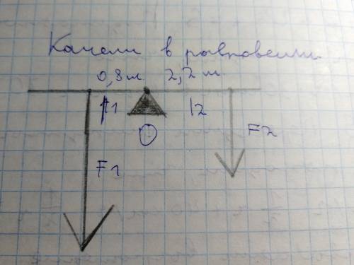 Лена сидит на расстоянии 2,2 метров от точки опоры качелей a, а саша — на расстоянии 0,8 м. сколько