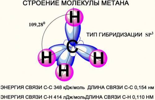 Заполните таблицу. зарисуйте молекулы органических веществ. название молекулы структурная формула ти