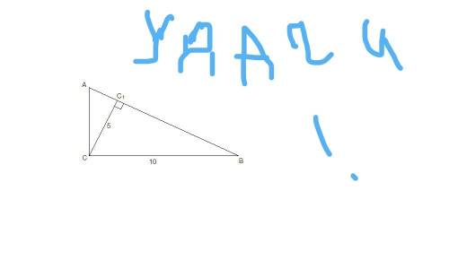 Втреугольнике вас угол с равен 90градусов, сс1-высота, сс1=5см, вс=10см найти угол сав