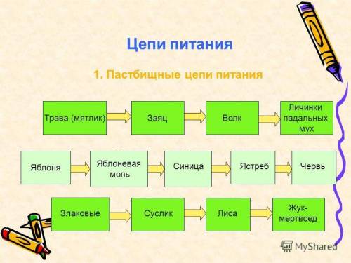 Составьте цепь питания: волк,кровососущий комар,заяц,берёза,полёвка,лисица,жук-навозник,подберезовик