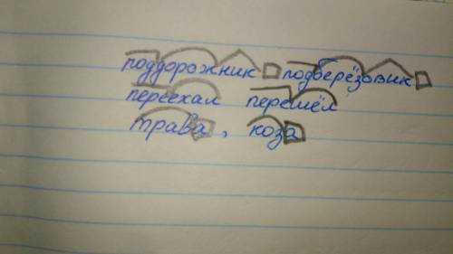 Написать слова по схемам. приставка, корень, суффикс, окончание. приставка, корень, суффикс. корень,