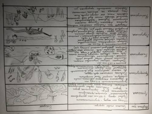 Заполнить таблицу по теме: эволюция 1 колонка - название эры периода; 2 - состояние живой природы; 3