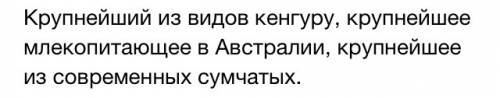 Какой статус у большого рыжего кенгуру