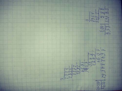 Выполни деление. 88 168 : 856 ; 164234562 : 1094= столбиком.