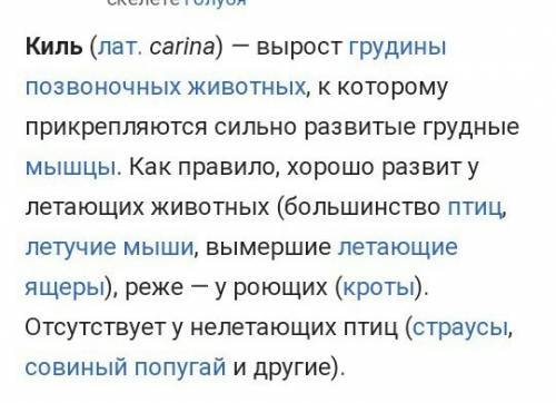 На поверхности чего находиться киль?