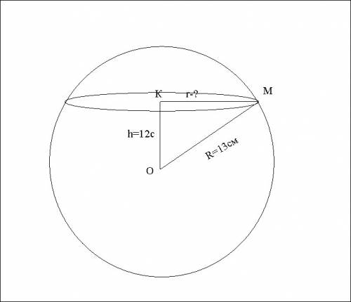 Вшаре с радиусом 13 см на расстоянии от центра -12 см проведена секущая плоскость. найдите площадь с