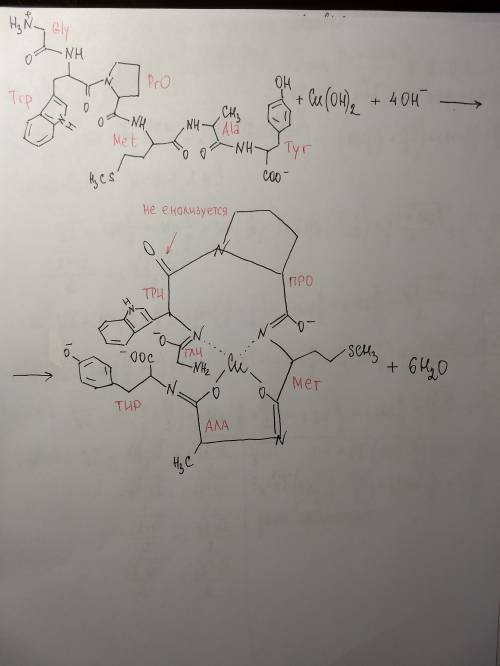 Напишите уравнение реакции, объясняющее биуретовой реакции с пептидом гли-три-про-мет-ала-тир. мне н