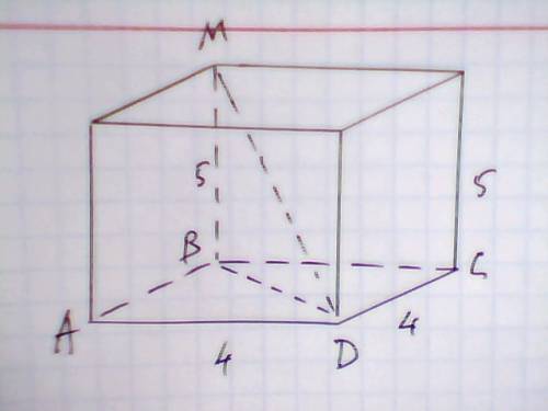 Высота правильной четырехугольной призмы 5 см, а сторона основания 4 см. найдите длину ее диагонали.