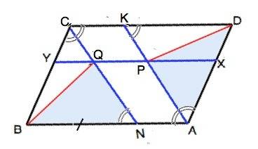 На сторонах ad и bc параллелограмма abcd выбраны точки x и y так что xy || ab. биссектрисы углов a и