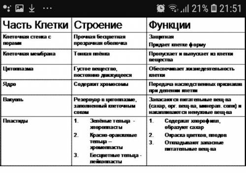 каково максимальное увеличение светового микроскопа? какие части клетки можно в него увидеть? каковы