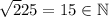 \sqrt225=15\in\mathbb{N}