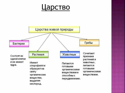 Важнейшие характерные признаки организмов на основании которых они относятся к тому или иному царств