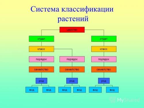 Предложите возможные варианты классификации растений, используя текст §1,2 учебник и. н. пономарёва.