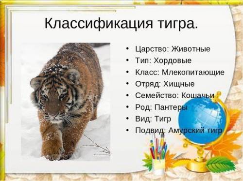 Составить схему классификации одного животного