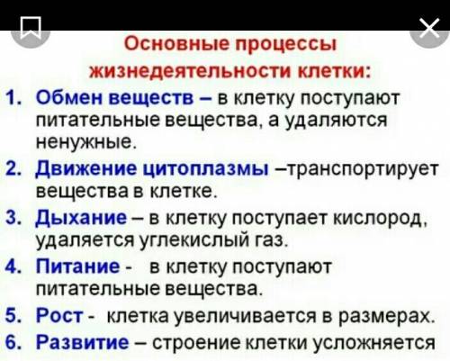 Выпишите процессы жизнидеятельности животной клетки.объясните их.