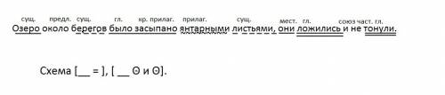 Озеро около берегов было засыпано янтарными листьями,они ложились и не тонули. сделать синтаксически