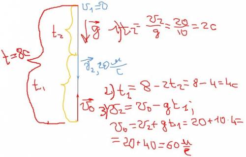 Зякою початковою швидкістю слід кинути м'яч вертикально вгору, щоб через 8с він падав вниз із швидкі