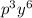 {p}^{3} {y}^{6}