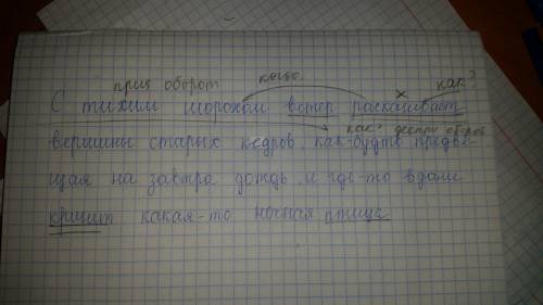 Стихим шорохом ветер раскачивает вершины старых кедров, как будто предвещая на завтра дождь, и где-т