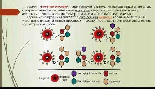 Какого типа антиген имеет 0 группа крови?