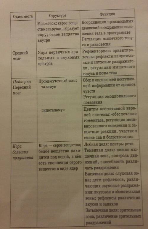 Как устроен головной мозг и какие функции выполняет