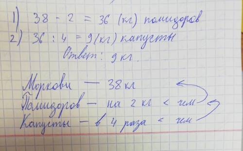 Петина бабушка с огорода собрала 38 кг морковки ,помидоров на 2 кг меньше,чем моркови,а капусты в 4