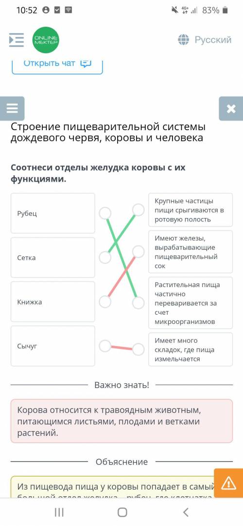 Определите связь между отделами желудка коровы и процессами происходящими в них