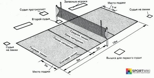 Нужен грамотный доклад о волейболе.