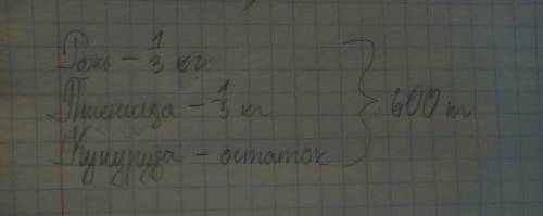 Как написать условие? зарание ! с участка собрали 600 кг зерна одна третья зерна составляла рожь одн